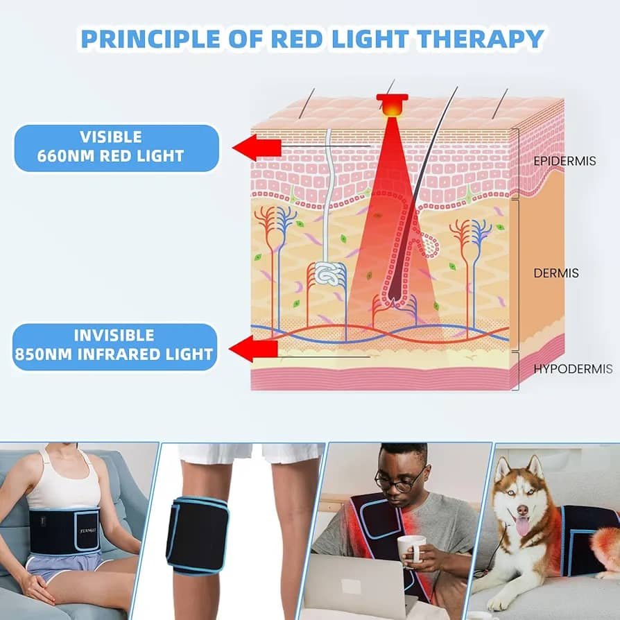 proheal red light therapy belt — infrared pain relief wrap for back, waist & muscle recovery